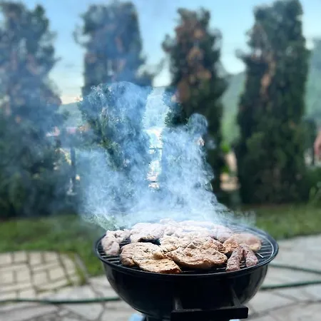 Mount House Case de vacanță *