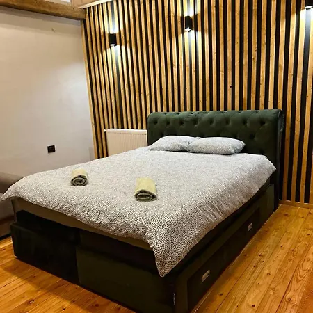 Mount House Holiday home Mavrovo